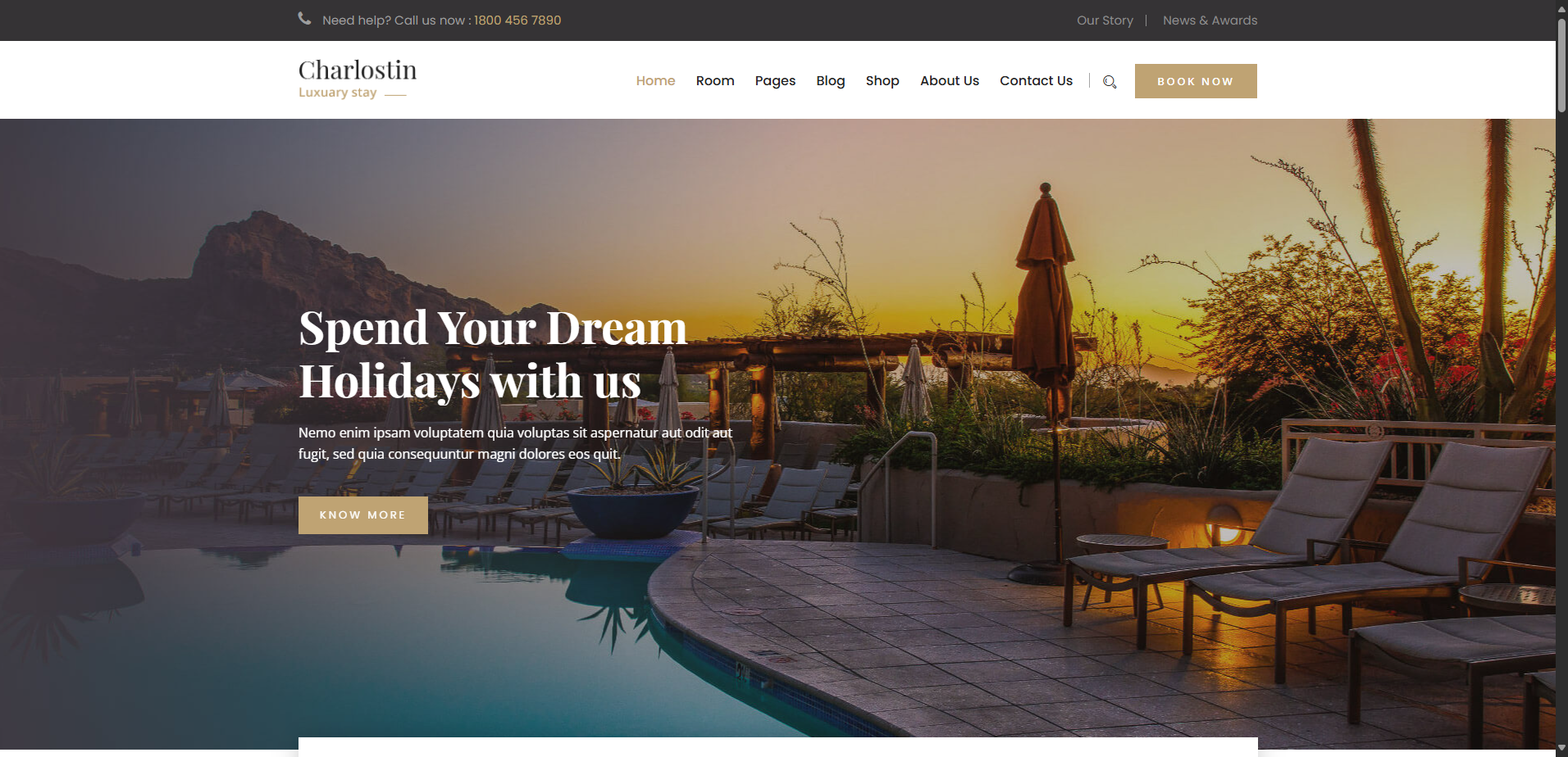 Web Khách sạn chuyên nghiệp 3