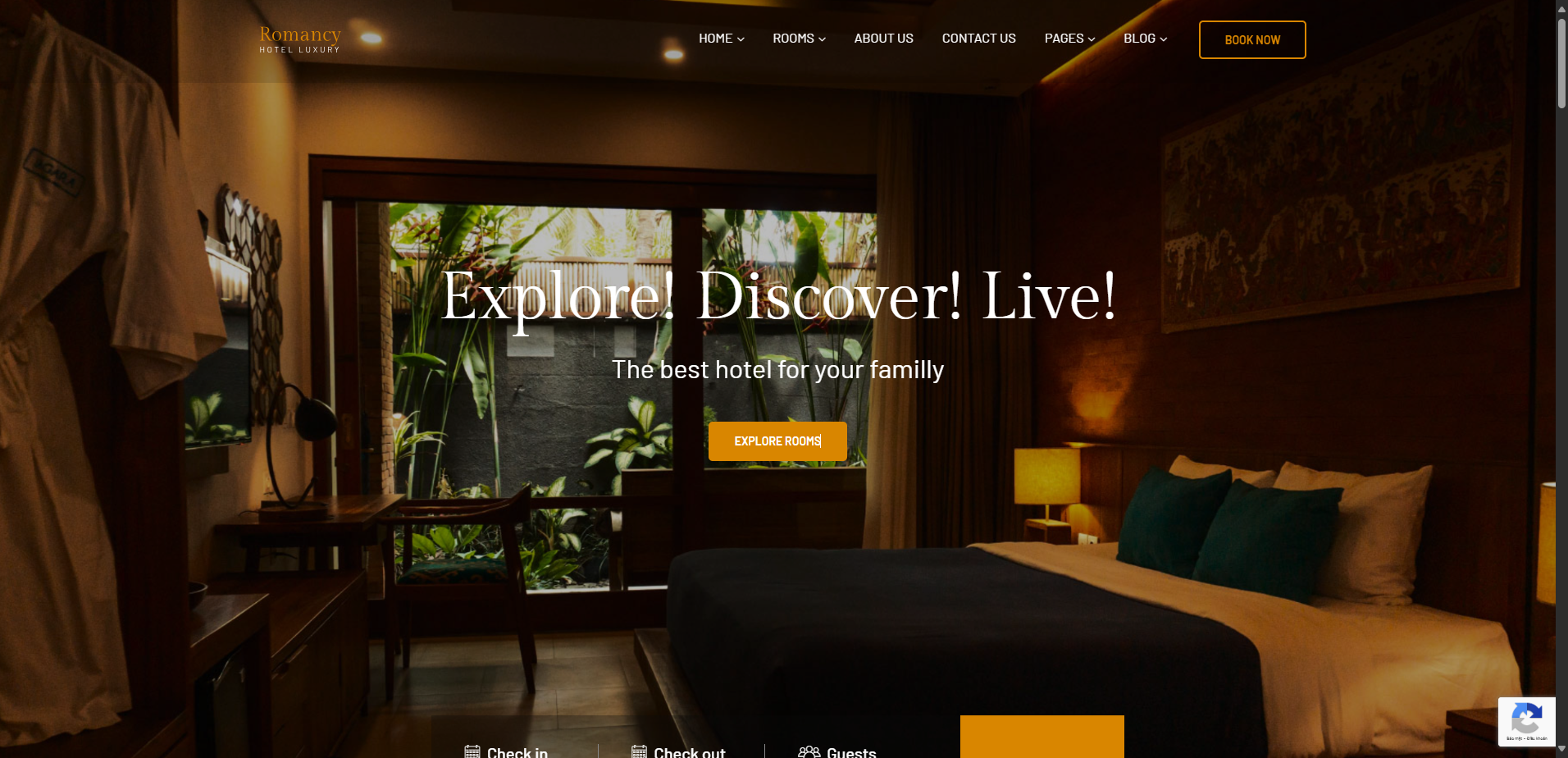 Web Khách sạn chuyên nghiệp 2